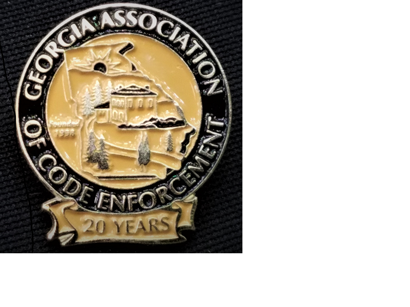 20 Year Anniversary Pin